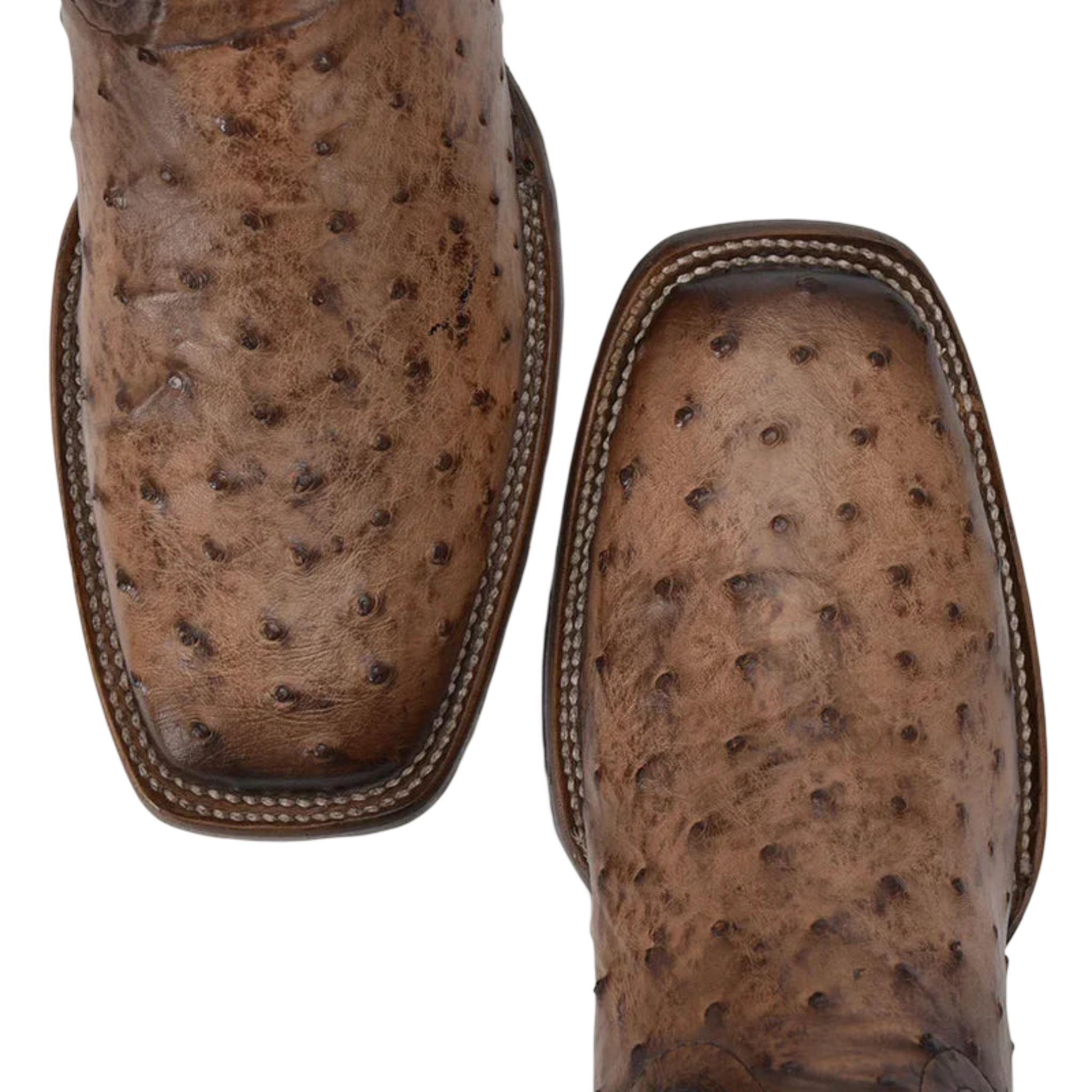 Cuadra MN Ostrich Square Toe Boot 3Z2LA1 Brown