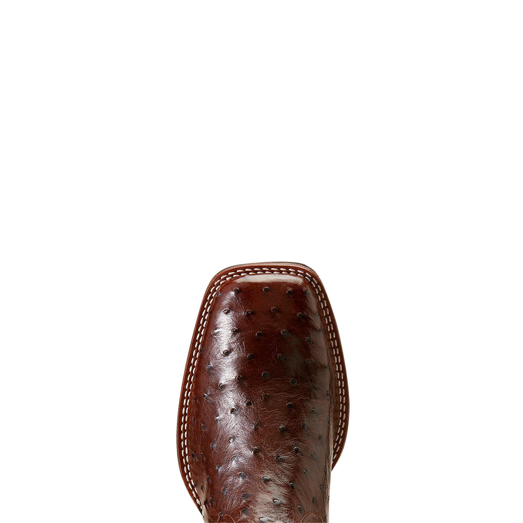 Ariat Men Ostrich Barley Ultra Western Boot 10046961