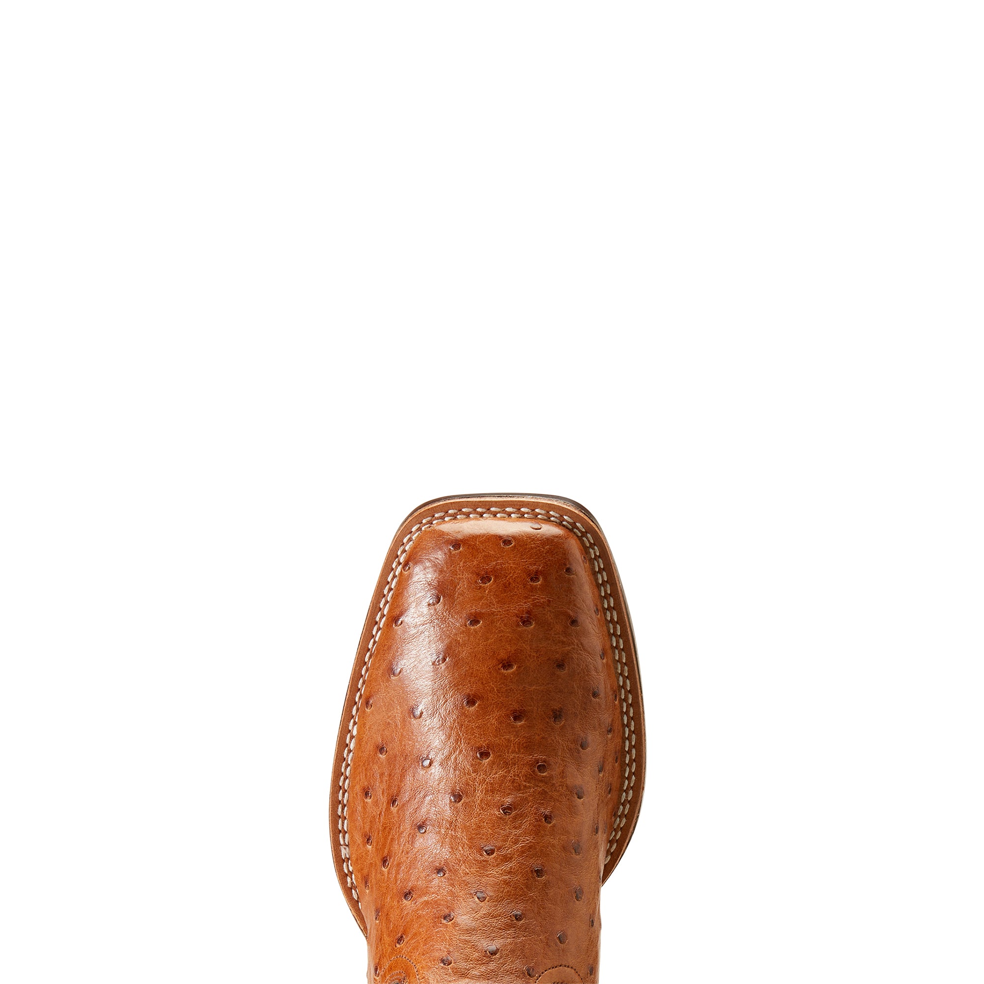 Ariat Men Ostrich Brandin&