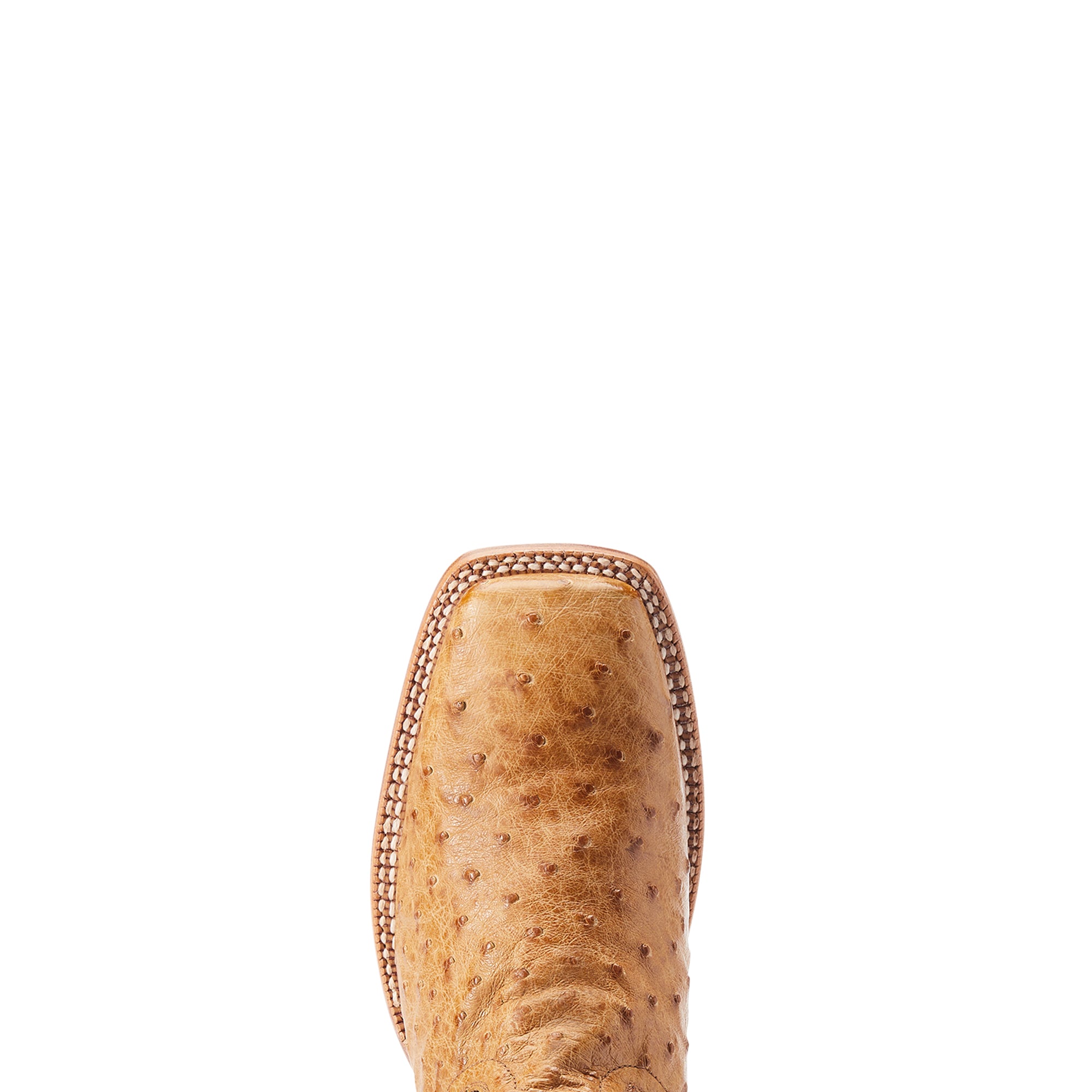Ariat Men Ostrich Broncy Western Boot 10044419
