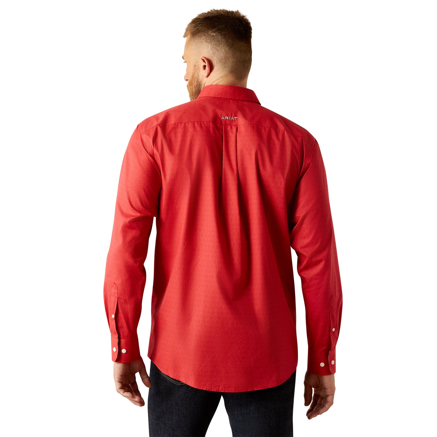 Ariat MN WF Dangelo LS Shirt 10058951