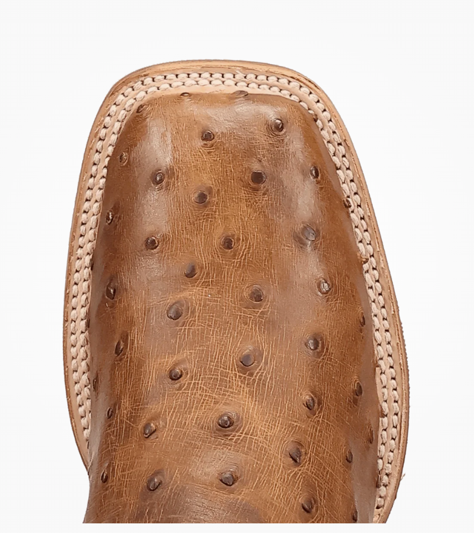 Dan Post Men Drayden Ostrich Western Boot DP5267