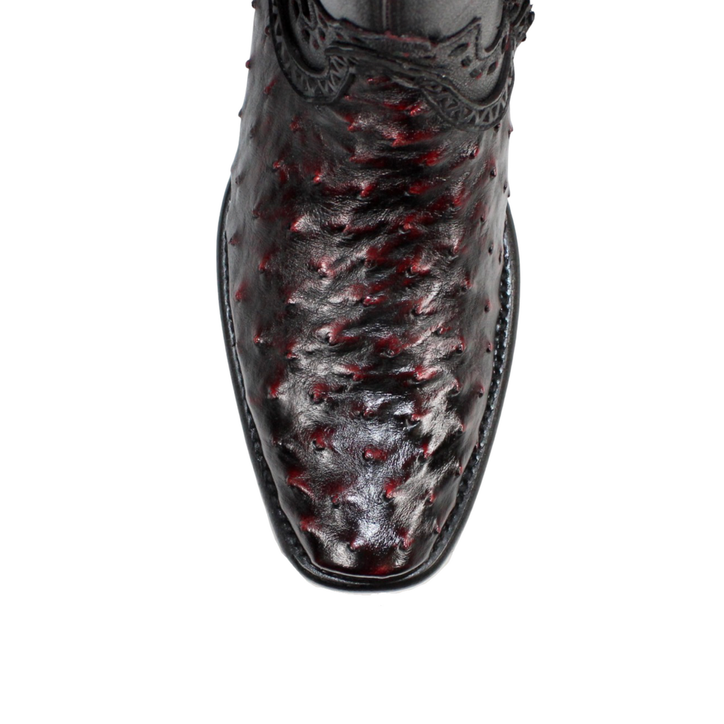 Exotic Dubai Zipper Boot