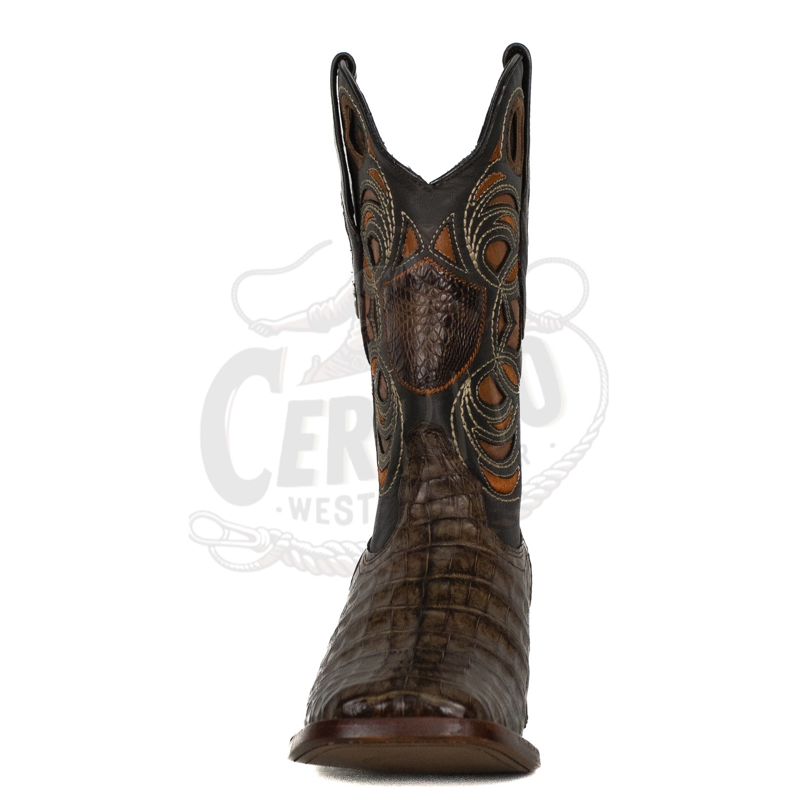Wild West Men Caiman Belly Square Toe Brown 8248207 Boot