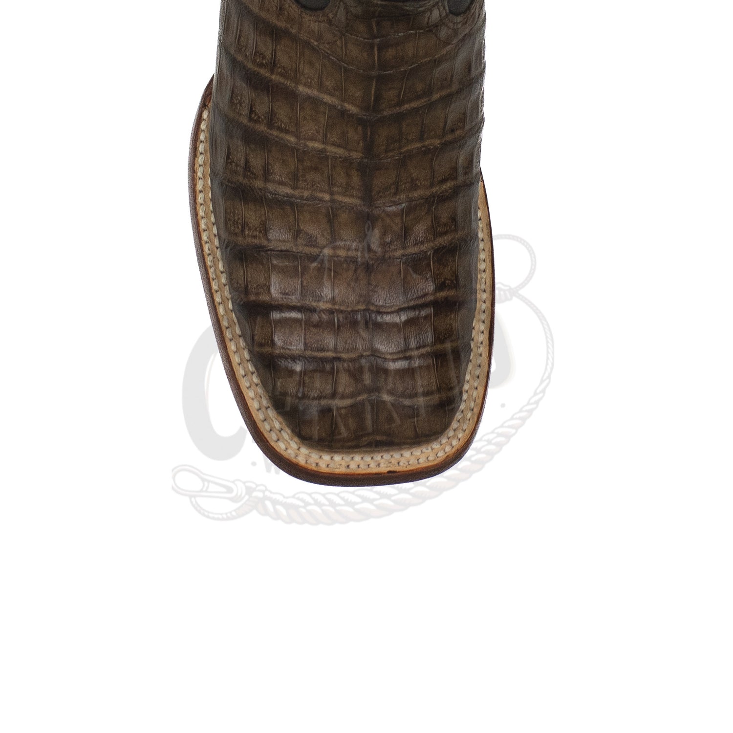 Wild West Men Caiman Belly Square Toe Brown 8248207 Boot