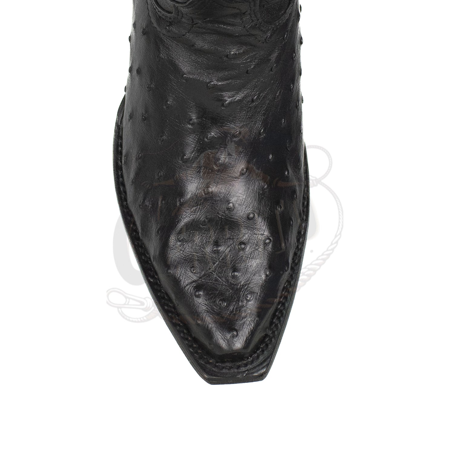 Wild West MN Ostrich Snip Toe Black 940305 Boot