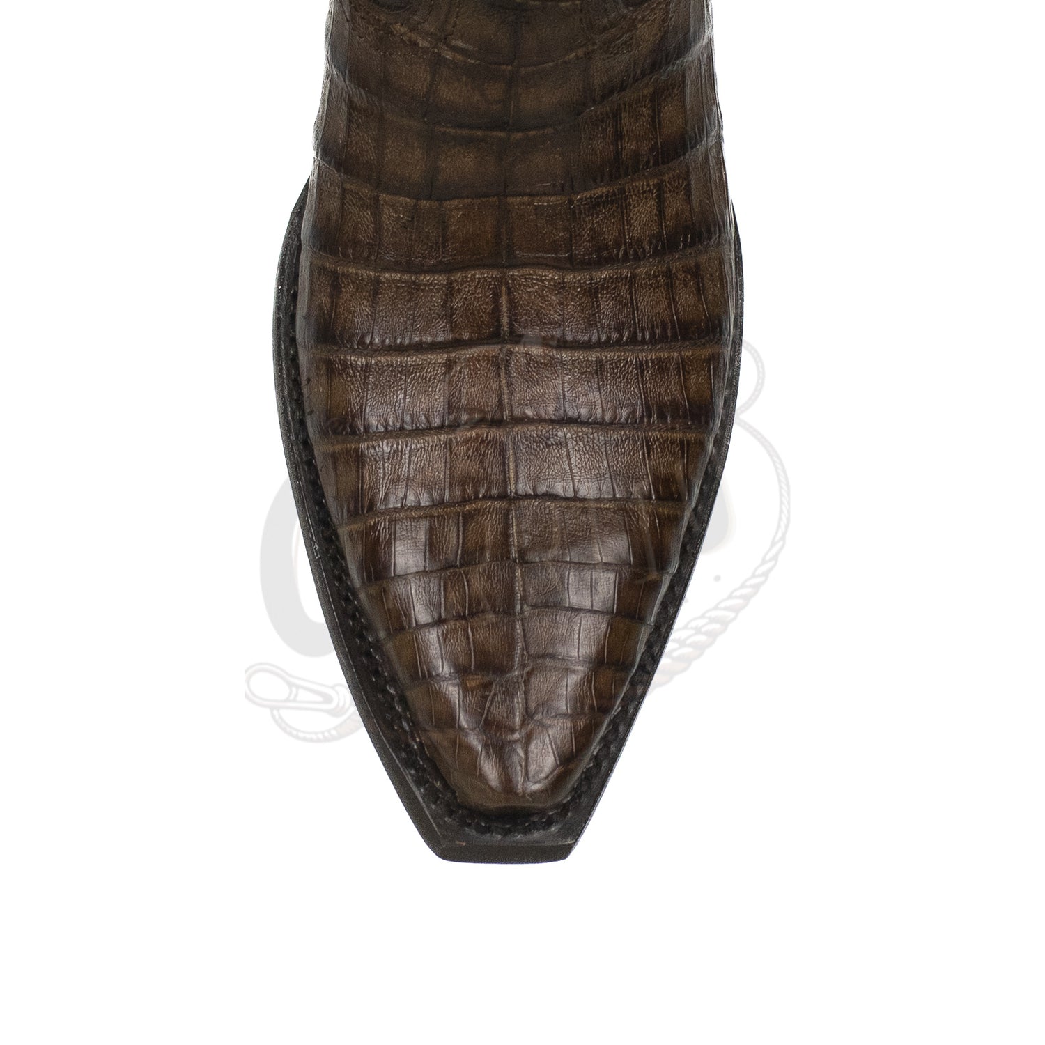Wild West Men Caiman Belly Brown 948207 Snip Toe Boot