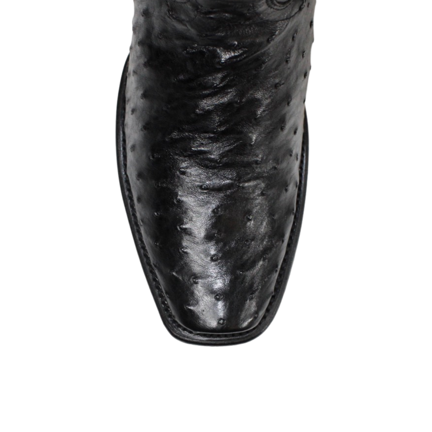 Wild West Ostrich Dubai Boot- Black