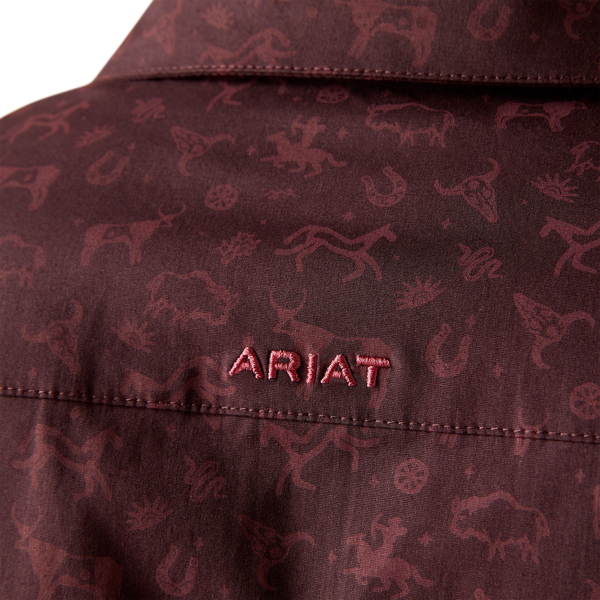 Ariat WMN Ancestry Print Shirt 10047226