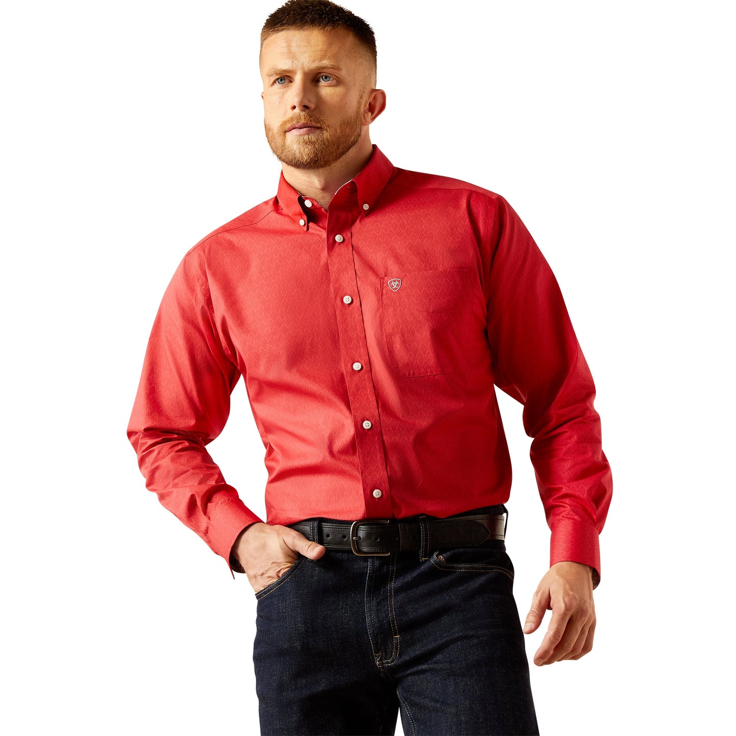 Ariat MN WF Dangelo LS Shirt 10058951