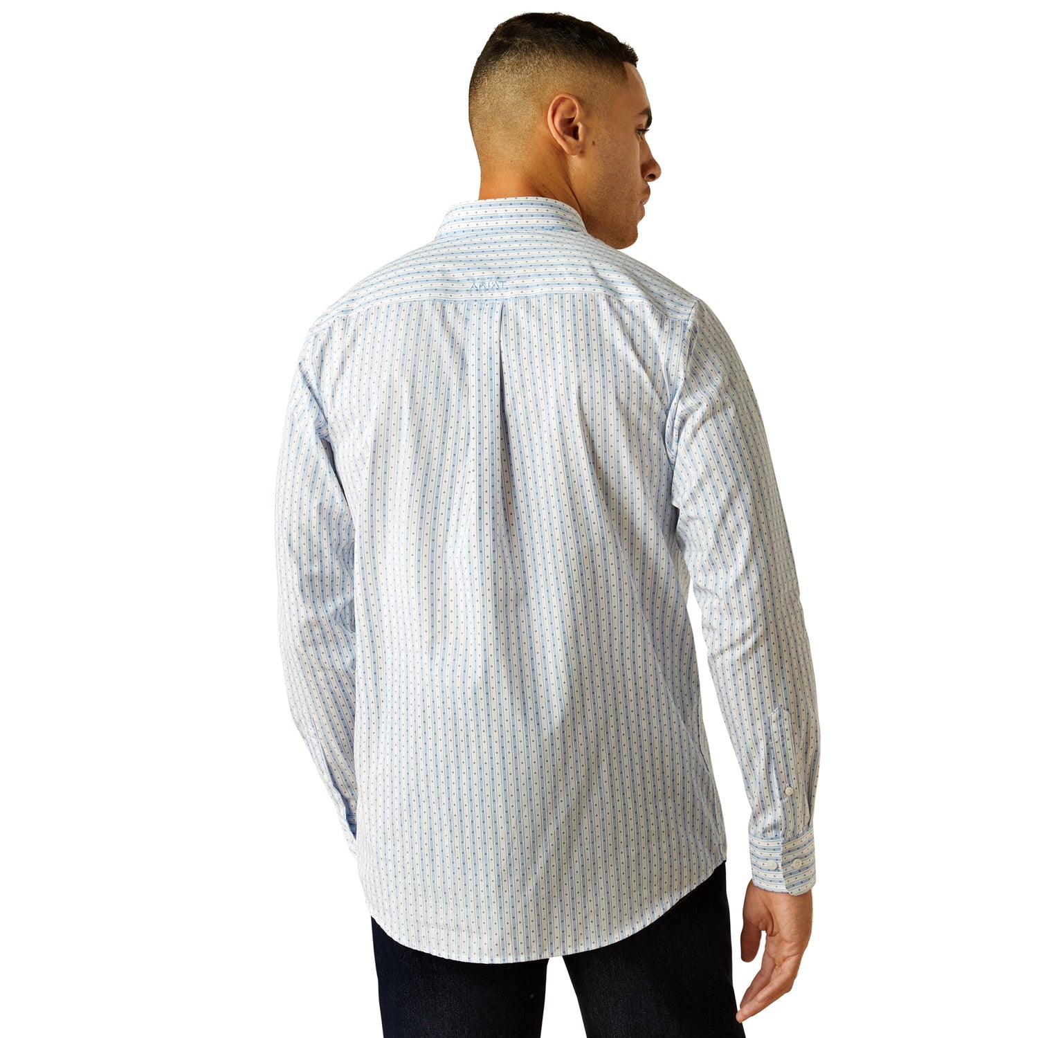 Ariat MN WF Dezmond FTD LS Shirt 10058988