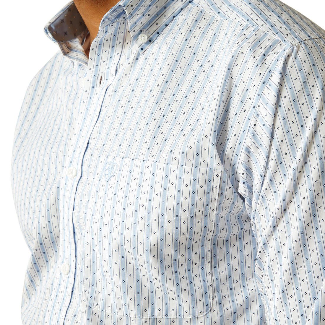 Ariat MN WF Dezmond FTD LS Shirt 10058988