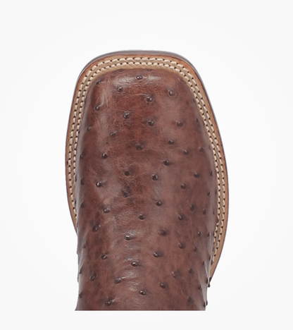 Dan Post Men Alamosa Ostrich Squared Toe DP3875 Boot