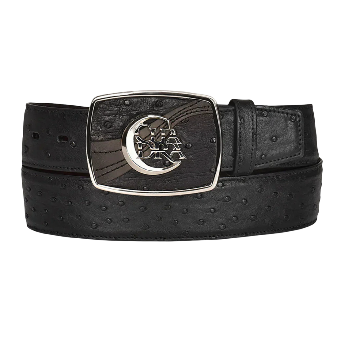 Cuadra MN Ostrich Belt CV499A1 Black
