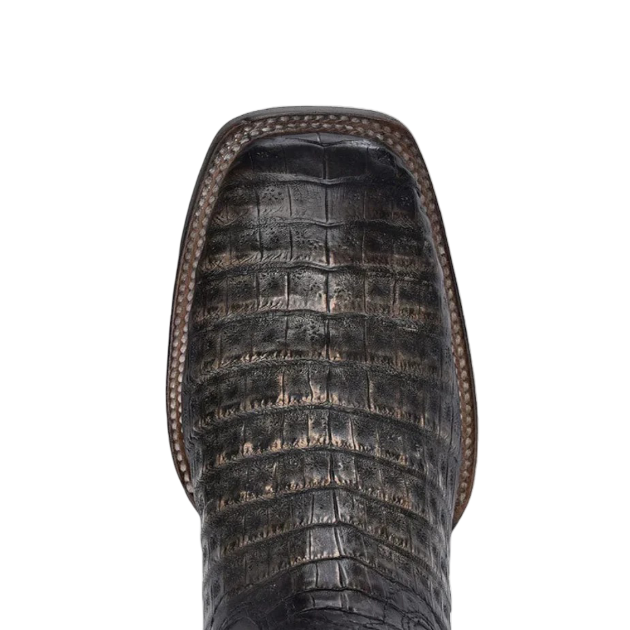 Cuadra MN Caiman Square Toe Boot 3Z2LFY Atlantis Black